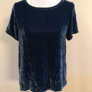 Like new Ivy Jane teal blue velvet top